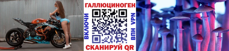 дарнет шоп  Лакинск  Галлюциногенные грибы GOLDEN TEACHER 